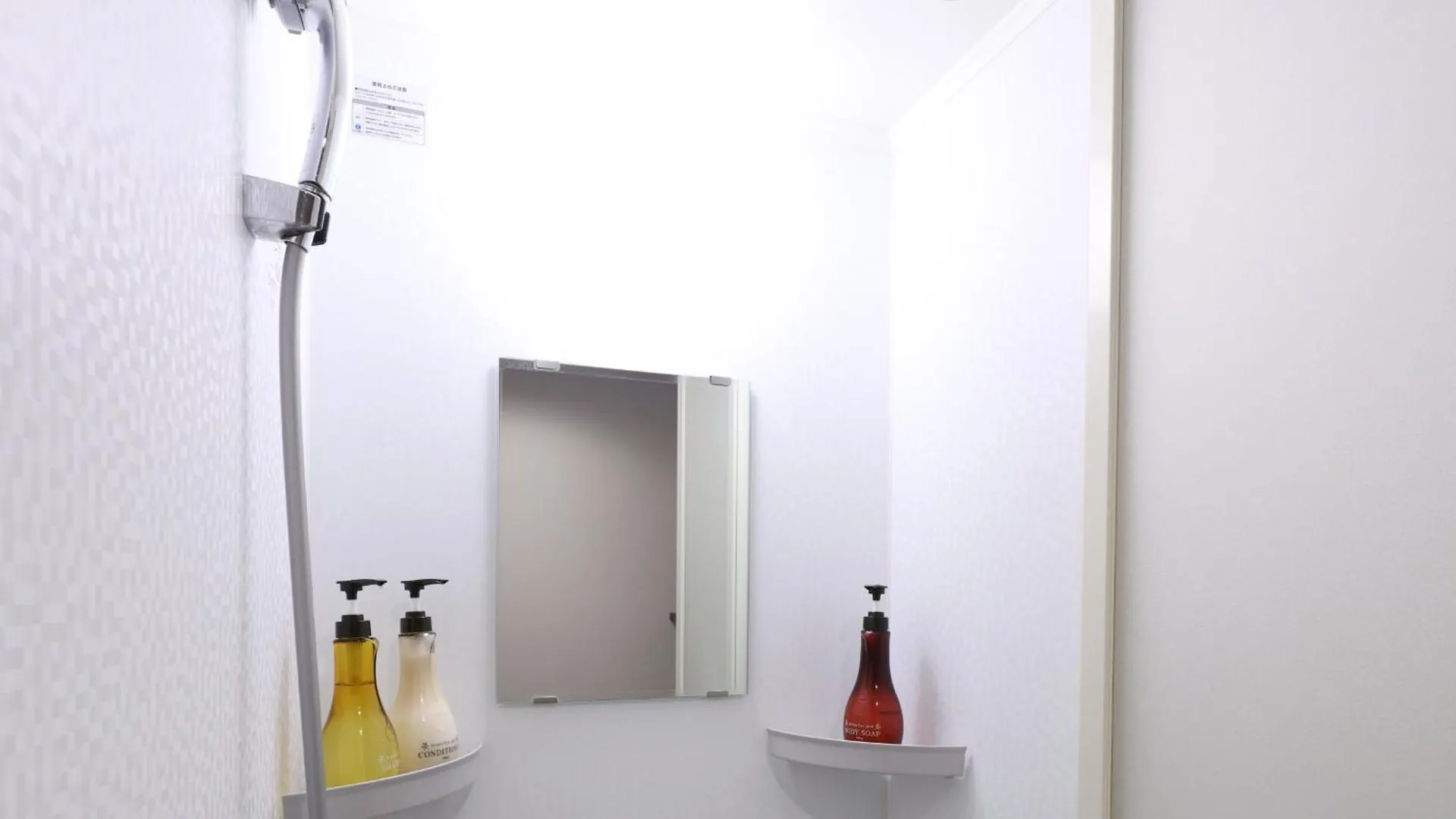 Dormy Inn Premium Shibuya-Jingumae Tokyo 3*,  Japan